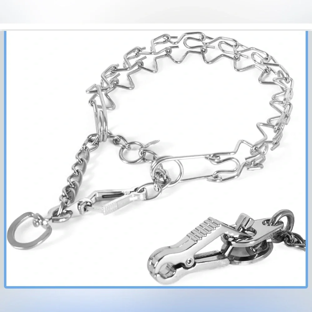 Dog Training Collar Prong Collar